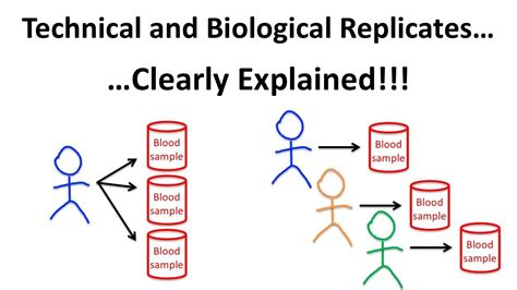 technical and biological replicates meaning